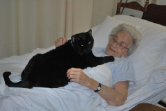271-Bayberry-Ester-And-Cat